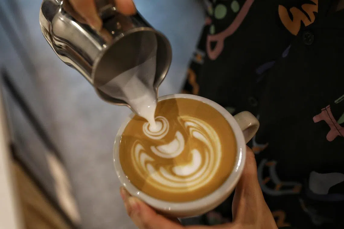 ST20230221_202350588484/Feline Lim/hychinatown

An espresso based white coffee is made at Fiftyfive Coffee Bar, photographed on February 21, 2023.