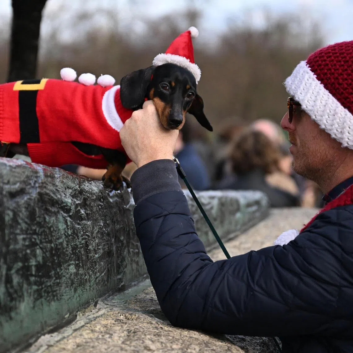 A dachshund wearing a festive coat takes part in the Christmas Hyde Park Sausage Dog Parade in Hyde Park, central London on December 14, 2025, a festive gathering of sausage dogs in the capital. (Photo by Chris J Ratcliffe / AFP)