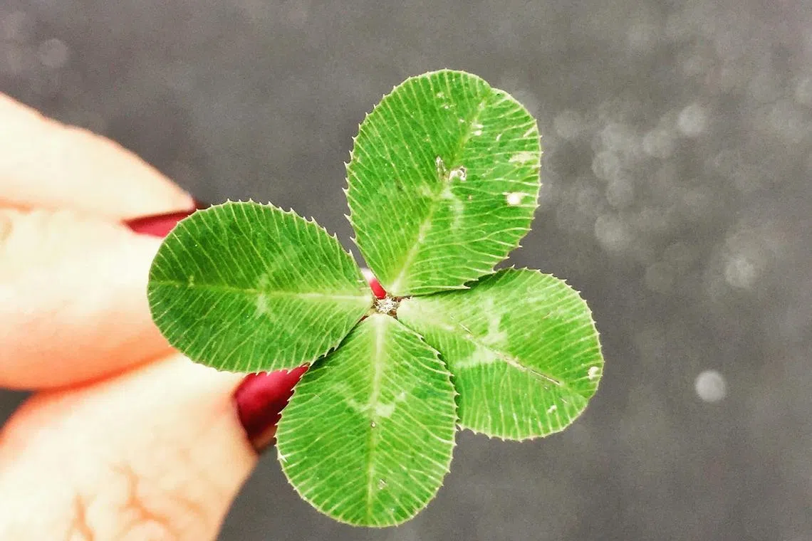 Luck often seemed to be used as a device to frame one’s success as flowing from spontaneous or serendipitous external recognition rather than calculated intention.