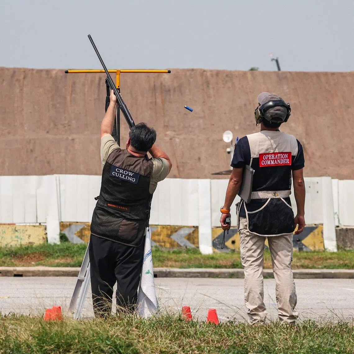 Wildlife management contractors culling crows at Bulim Heavy Vehicle Park on April 2.