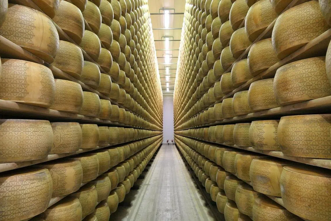 Mr Giacomo Chiapparini was buried under 40-kg wheels of cheese when a shelf in his cheese warehouse broke.
