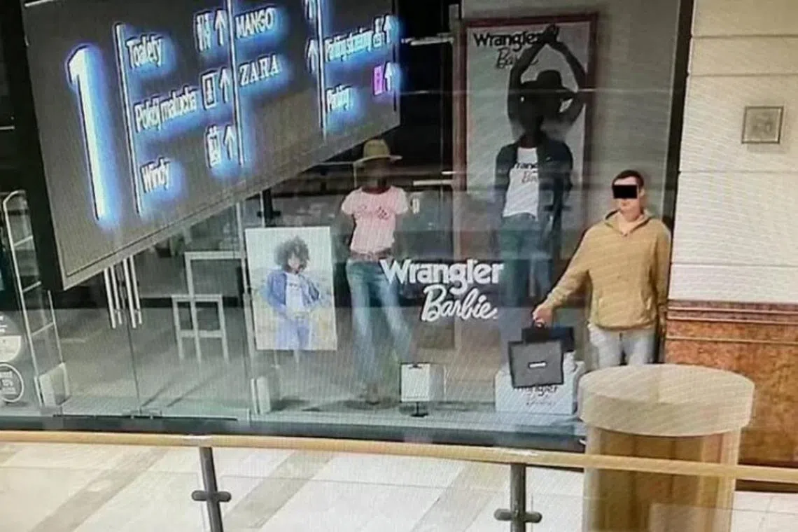 The man pretended to be a mannequin in front of a store window before stealing from a shopping centre after it closed.