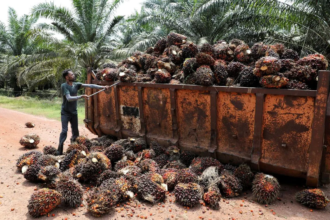 Palm oil exporters had accumulated large shipment quotas last year and they now had little incentive to supply the domestic market, he said.