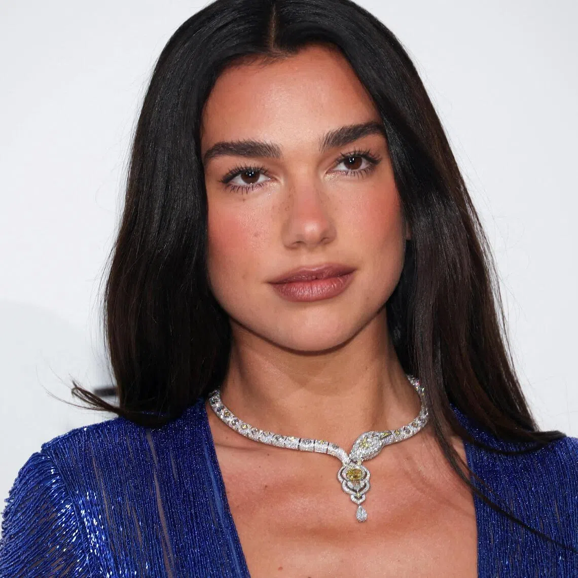 British singer Dua Lipa said she shared the protesters’ concerns about the Albanian government’s transparency in approving the development.