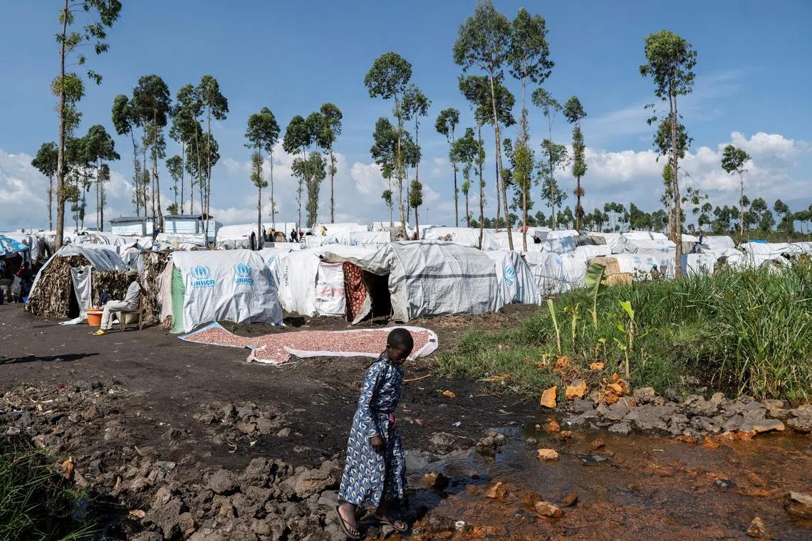 A displaced Congolese child walks at a new site, after fleeing their village following clashes between M23 rebels and the Armed Forces of the Democratic Republic of the Congo (FARDC), in Sake, the Democratic Republic of Congo February 6, 2024. REUTERS/Arlette Bashizi/File Photo