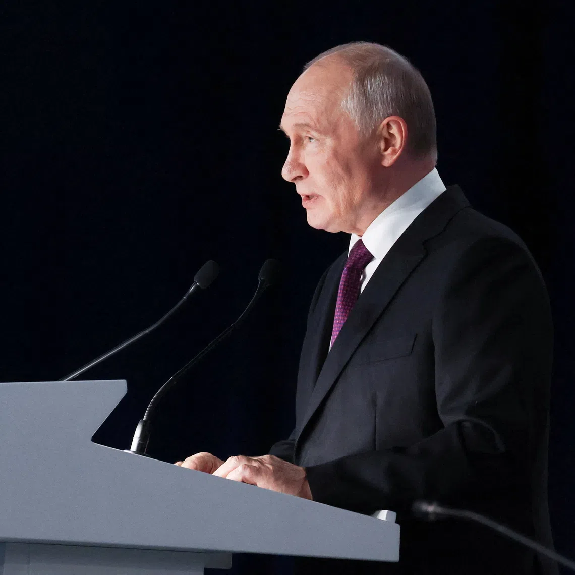 Russian President Vladimir Putin said a number of countries including the US and China were ready to support a peace settlement.