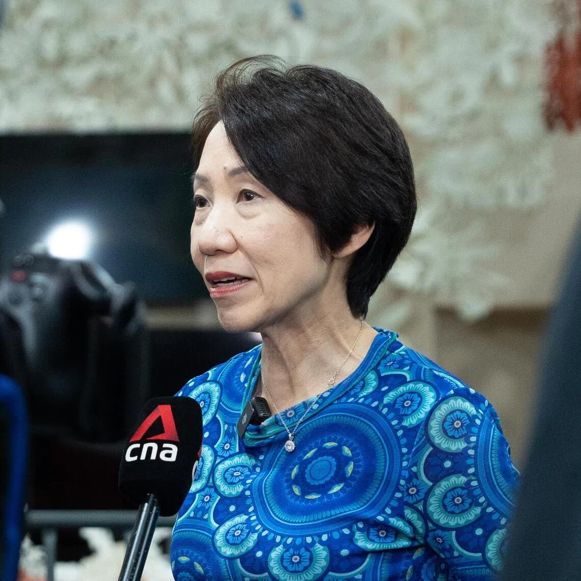 Minister for Sustainability and the Environment Grace Fu said that the Republic is still hopeful that countries will come to a consensus. 