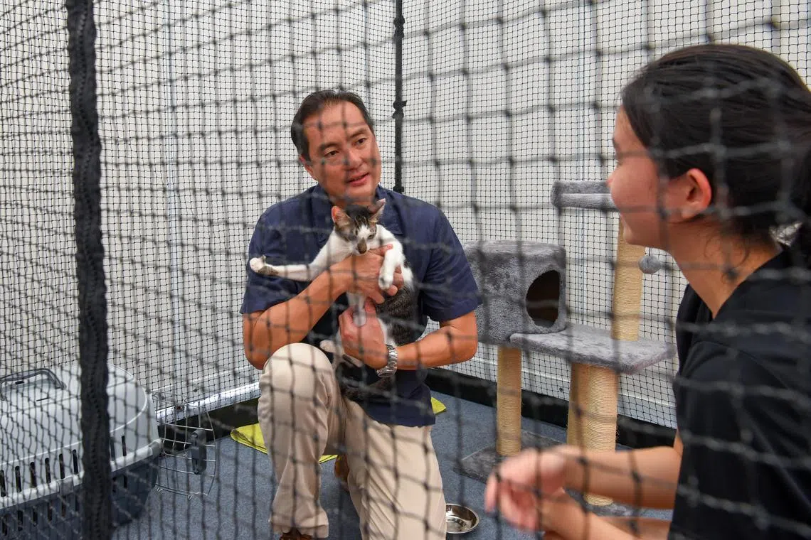 ST20230506_202312309530-Eugene Tan- Chin Soo Fang-sfcat06/

Senior Minister of State for National Development Tan Kiat How interacting with one of the cats up for adoption and a volunteer at Pets' Day Out on May 6, 2023./

(ST PHOTO: EUGENE TAN)