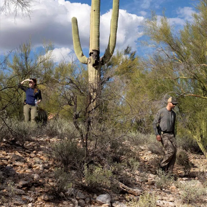 Investigators searching the edges of Nancy Guthrie's street in the Catalina Foothills on Feb 11 after the disappearance of US television journalist Savannah Guthrie's 84-year-old mother.