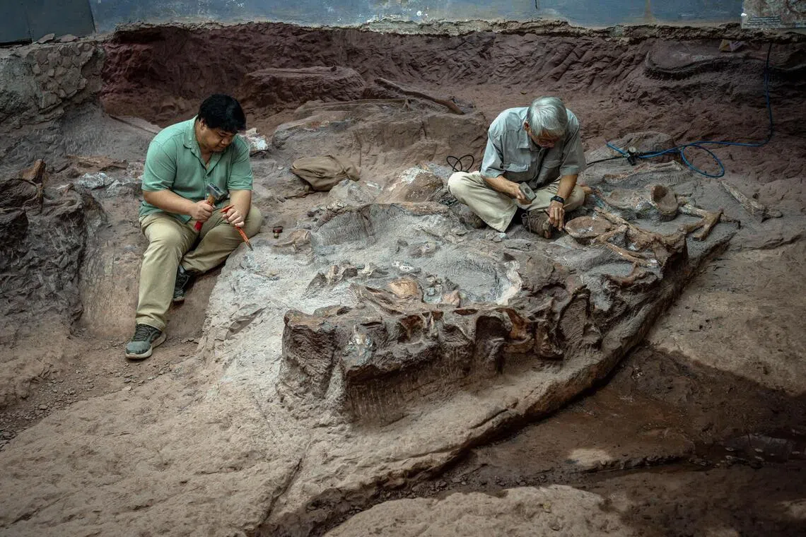 Thailand’s ‘Jurassic Park’ shines light on dinosaur evolution