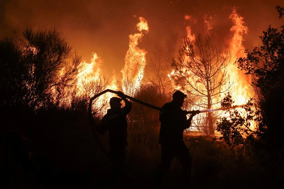 Firefighters trying to extinguish a wildfire in Greece's Dadia National Park on Sept 3.