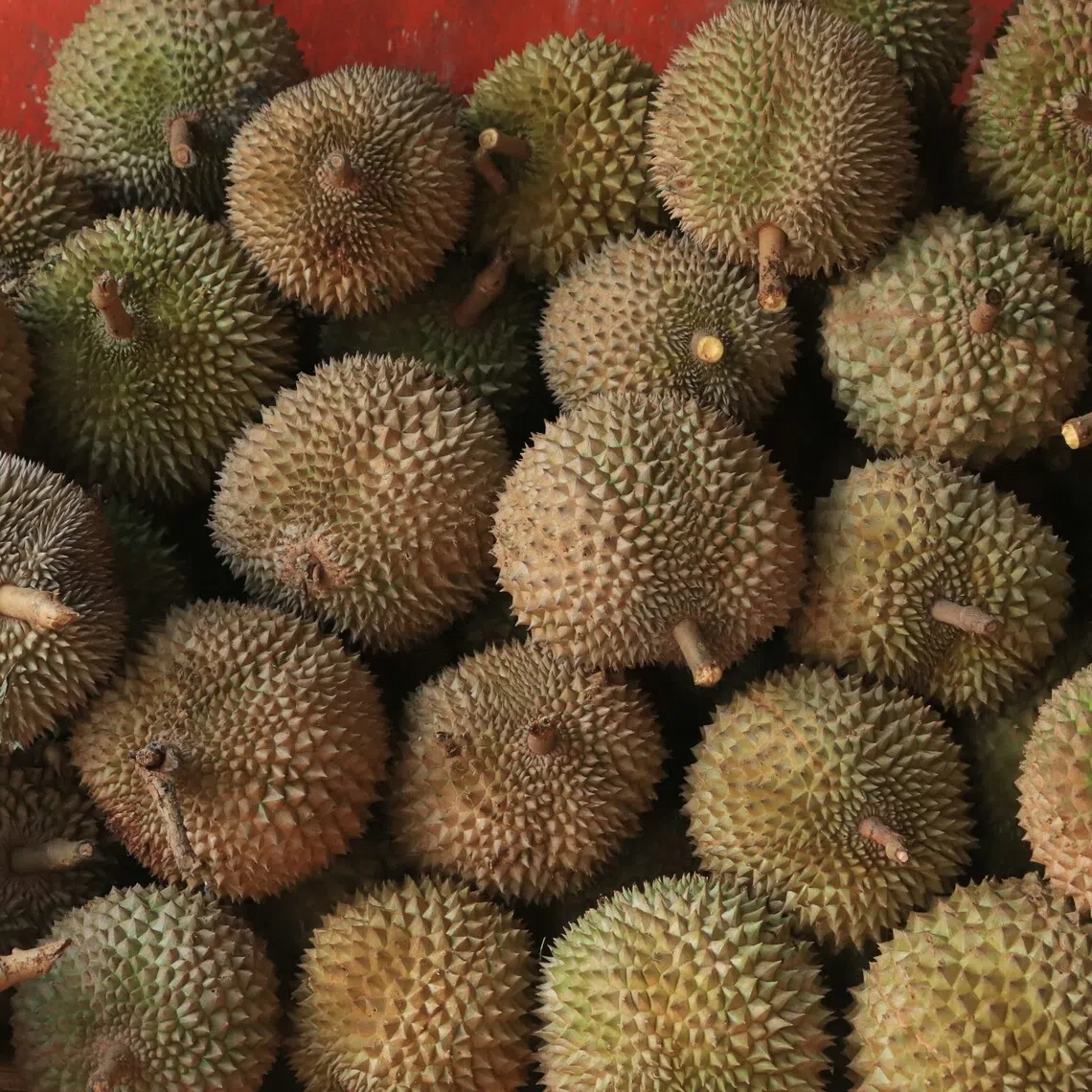 Firefighters searched nearby shops and found the cause of the smell came from durians sold at an Asian supermarket. 