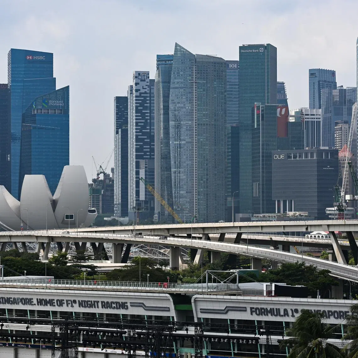 More than half of SMEs also experienced a decline in revenue from Singapore customers. Meanwhile, only a third of large firms saw a decrease. 