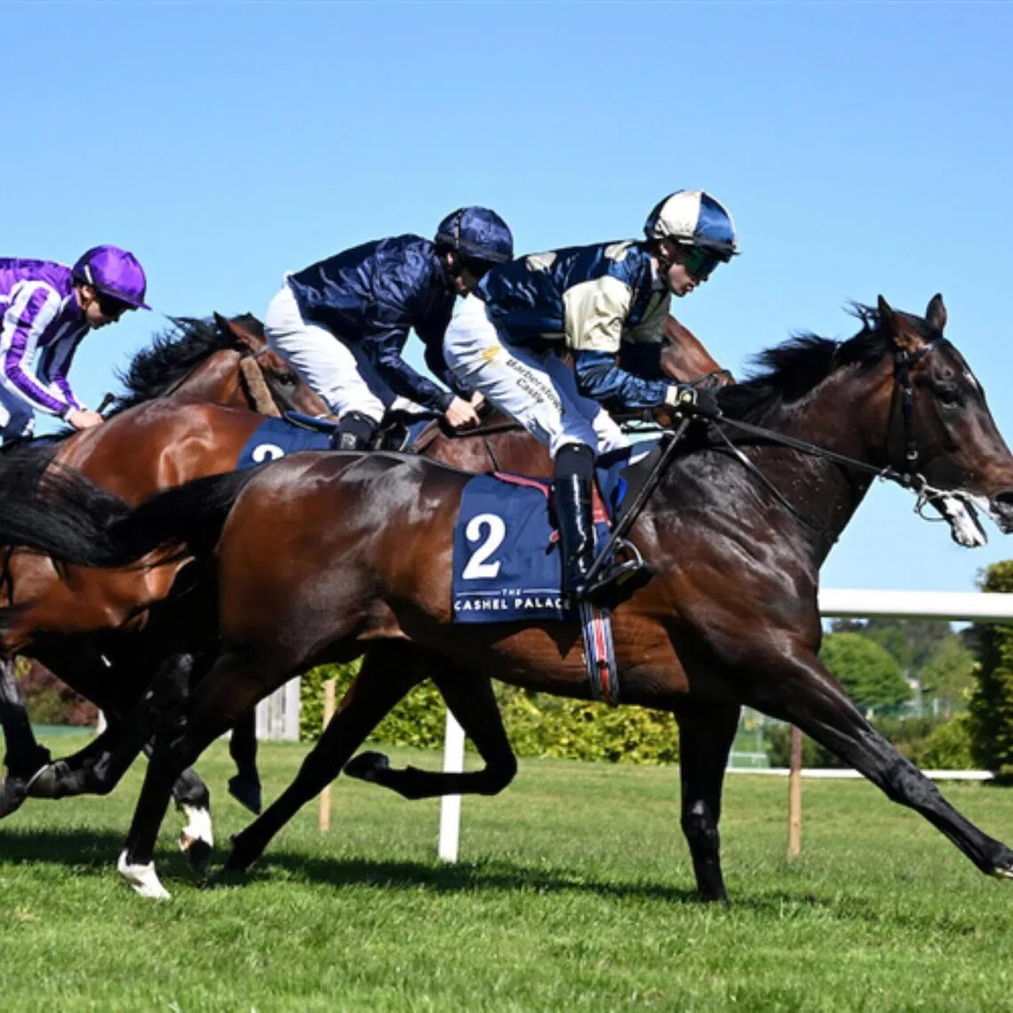 ames J Braddock (Dylan Browne McMonagle) winning the Group 3 Derby Trial Stakes (2,000m) at Leopardstown in Ireland on May 10.


