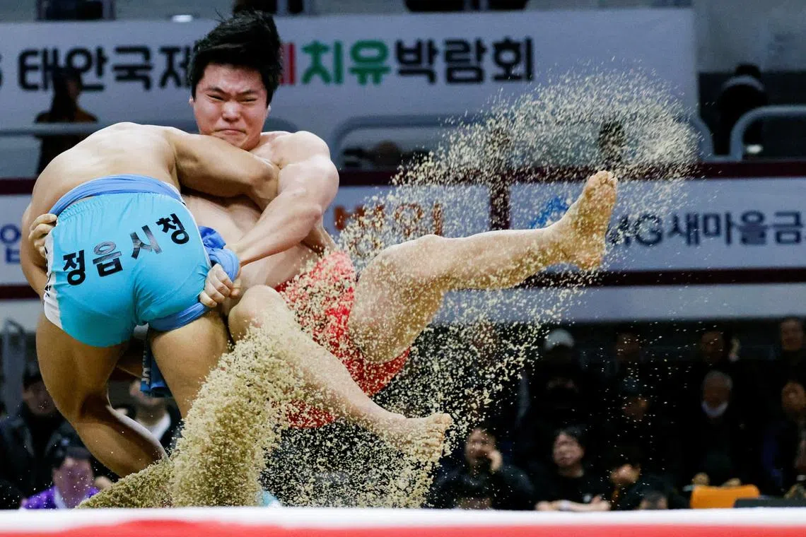 Ssireum wrestlers, athletes of Korea's traditional wrestling, compete during a Lunar New Year Ssireum championship at the Taean Complex Indoor Gymnasium in Taean, South Korea, February 14, 2026. REUTERS/Kim Soo-hyeon