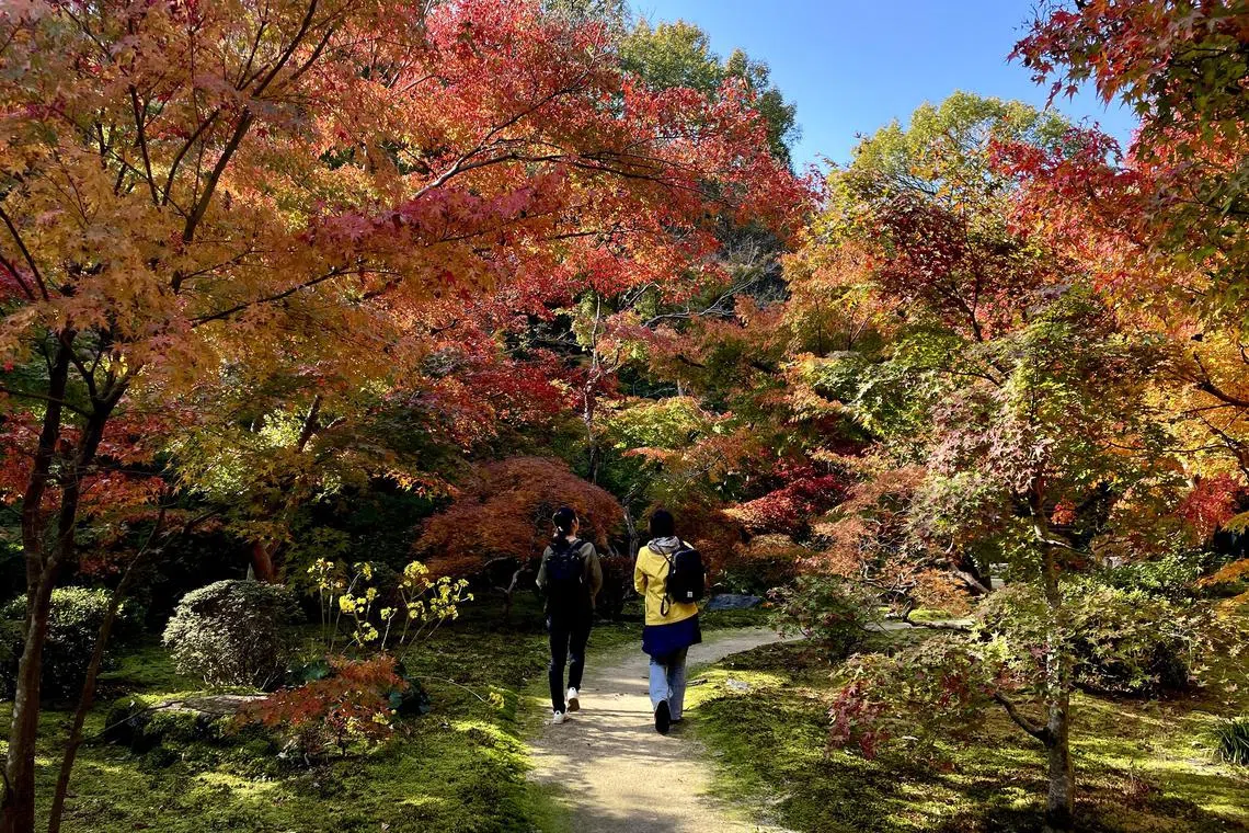 jthiro - Lush gardens, ancient teahouses and meditation halls abound in the Shinshoji Zen Museum and Garden.


Credit: John Tan