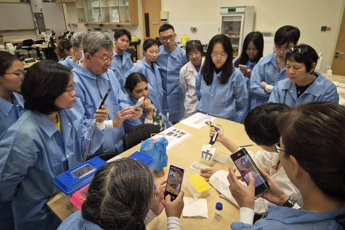 A second study, led by NIE, examined the health of marine snails affected by the spill, compared to those found at other beaches the oil didn’t reach.
