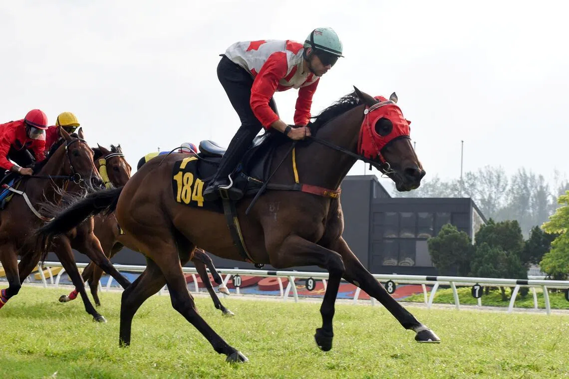 Banker's Kingdom - Banker's Kingdom


PHOTO: SELANGOR TURF CLUB