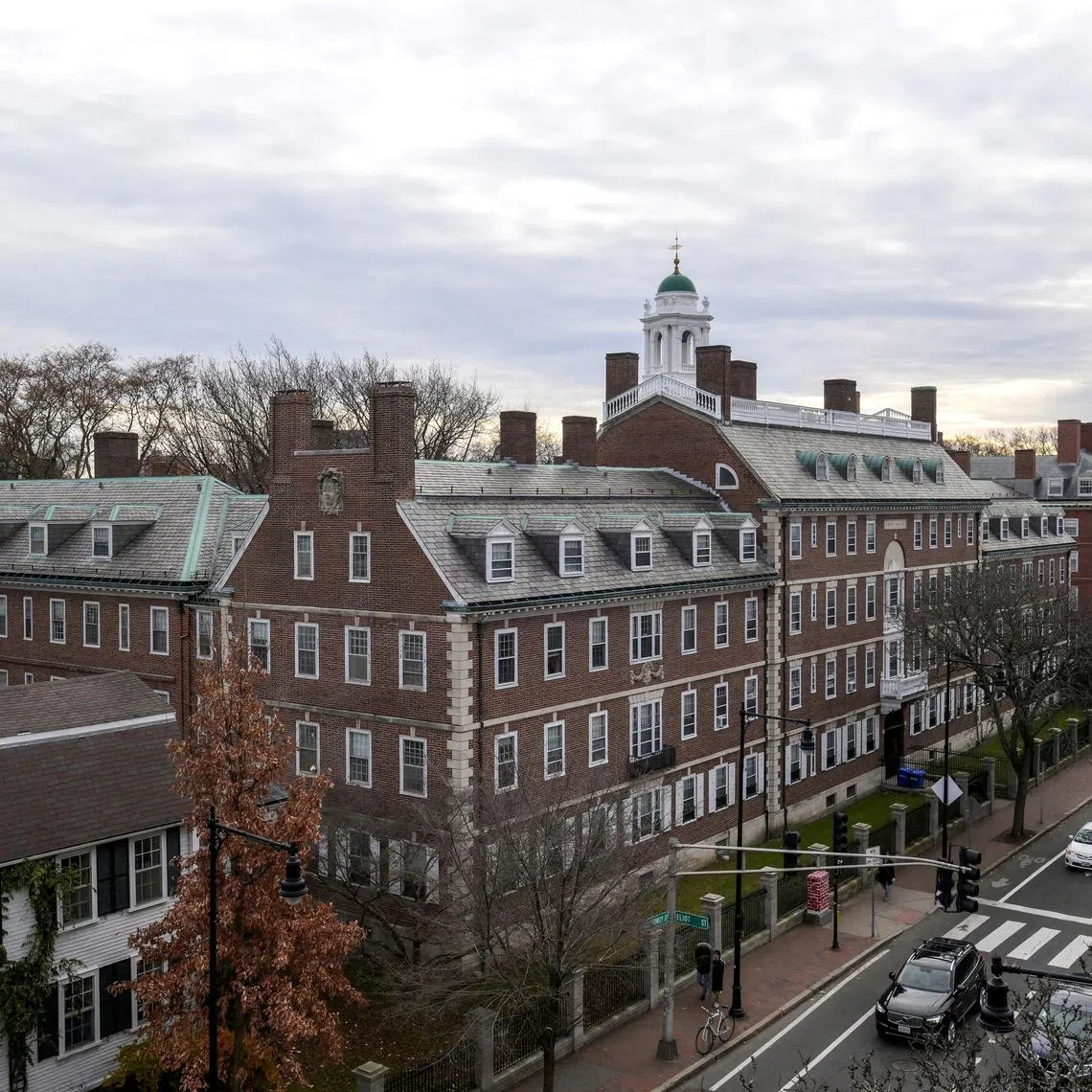 FILE PHOTO: A view of Harvard campus on John F. Kennedy Street at Harvard University is pictured in Cambridge, Massachusetts, U.S., December 7, 2023. REUTERS/Faith Ninivaggi/File Photo