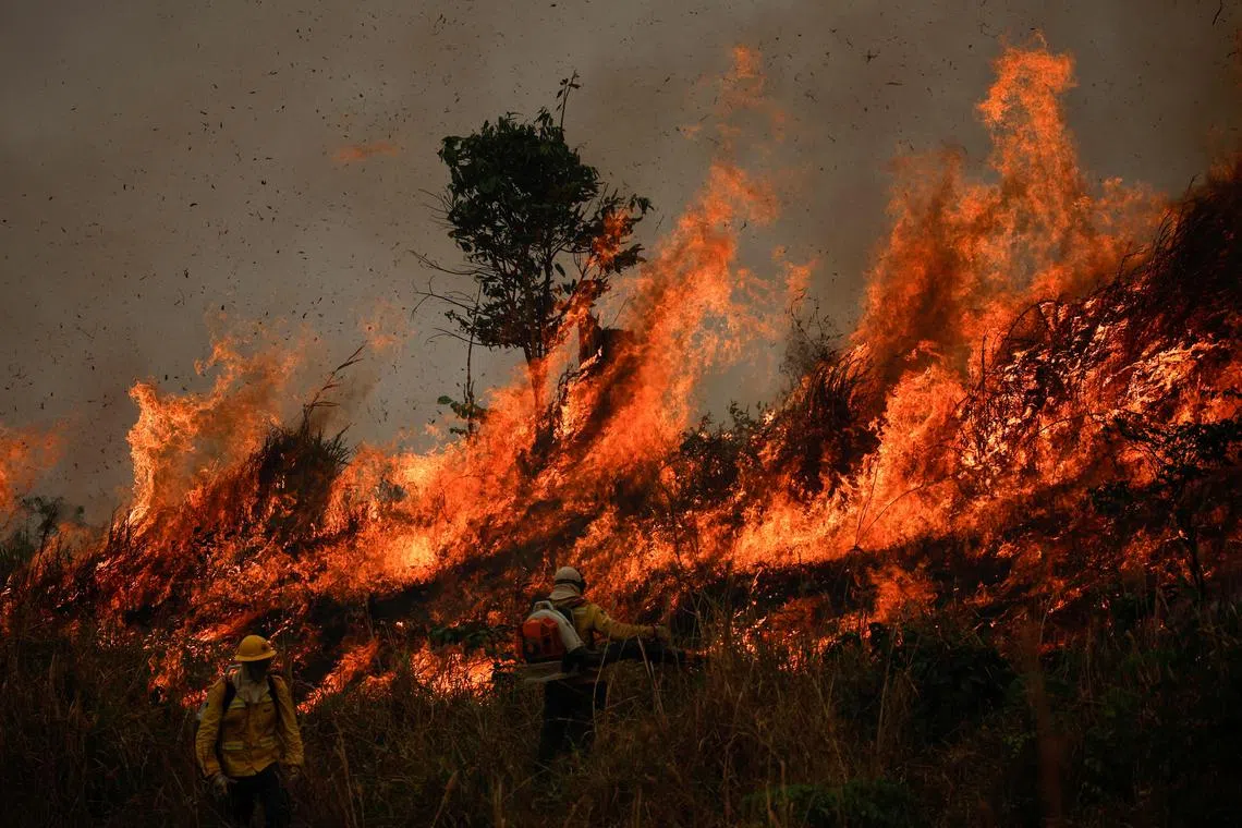 FILE PHOTO: Members of Brazilian Institute for the Environment and Renewable Natural Resources (IBAMA) fire brigade work to extinguish a fire rising in Amazon rainforest in Apui, Amazonas state, Brazil, August 8, 2024. REUTERS/Adriano Machado/File Photo