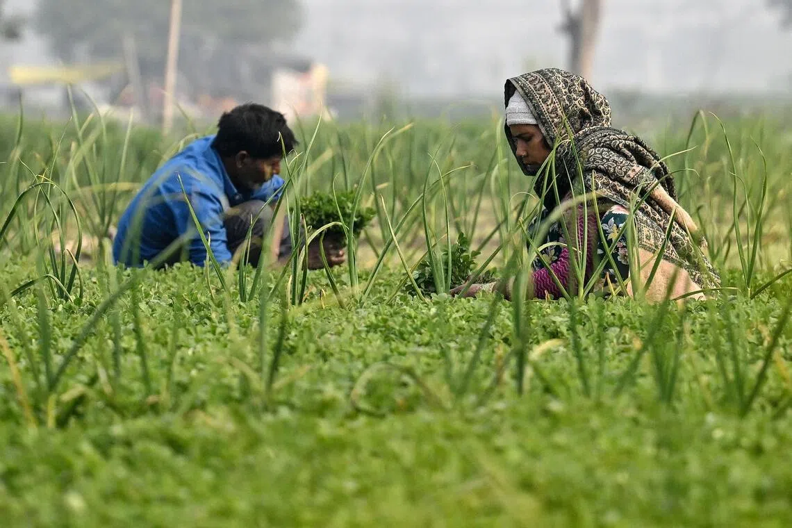 India’s major farmer group revolts against US trade deal