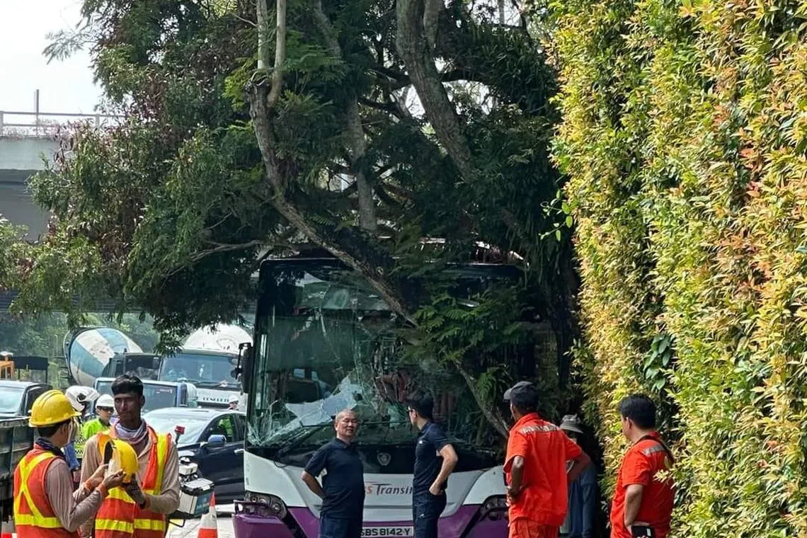 Two bus passengers were taken to the hospital following an accident that involved a SBS Transit bus, a lorry and a car on Friday morning.