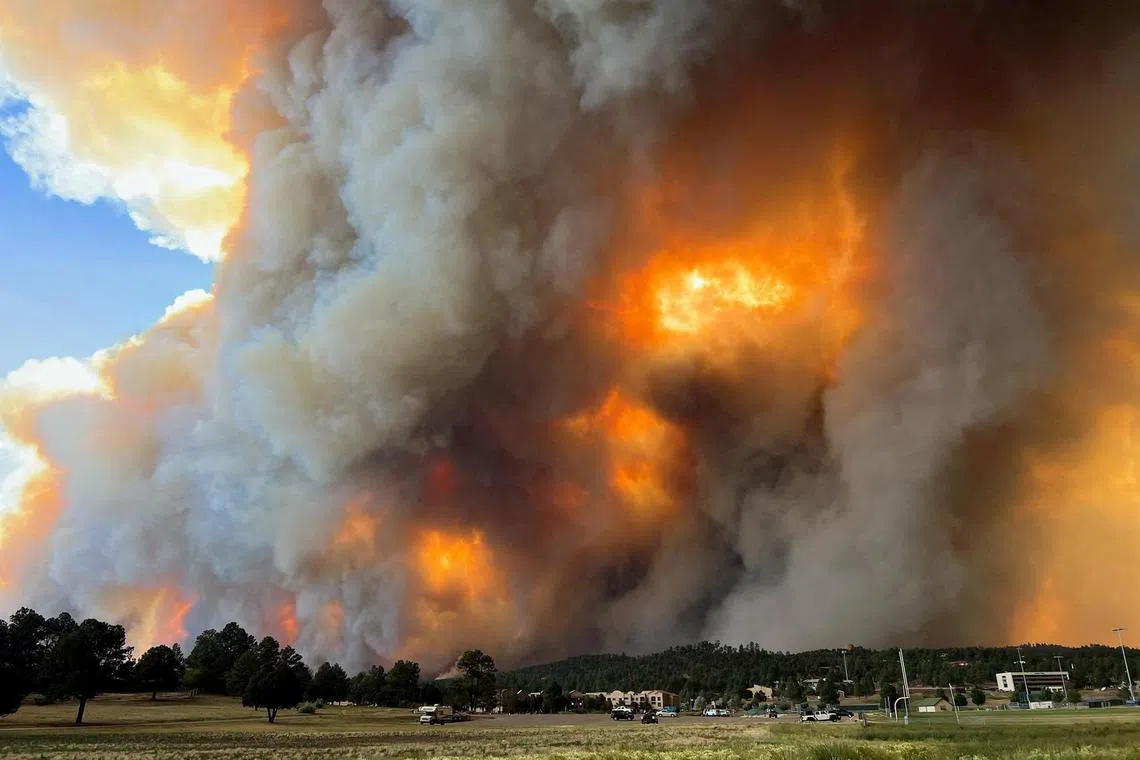 Smoke rises from a wildfire in Ruidoso, New Mexico, U.S., June 17, 2024, in this picture obtained from social media. Pamela L. Bonner/via REUTERS  THIS IMAGE HAS BEEN SUPPLIED BY A THIRD PARTY. MANDATORY CREDIT. NO RESALES. NO ARCHIVES.