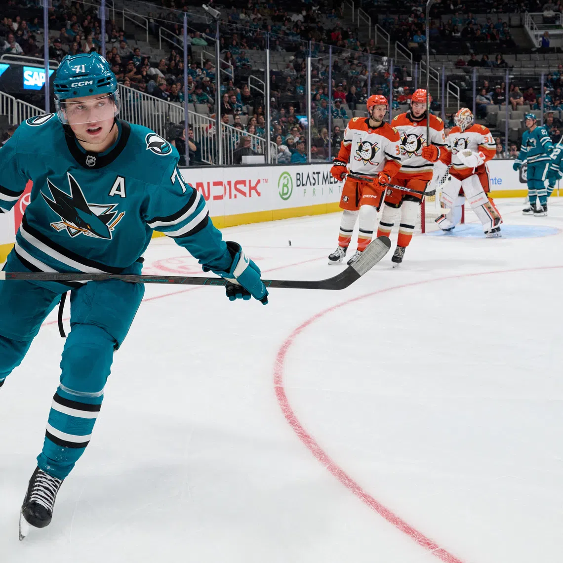 Sep 24, 2026; San Jose, California, USA; San Jose Sharks center Macklin Celebrini (71) looks on against the Anaheim Ducks during the second period at SAP Center at San Jose. Mandatory Credit: Robert Edwards-Imagn Images