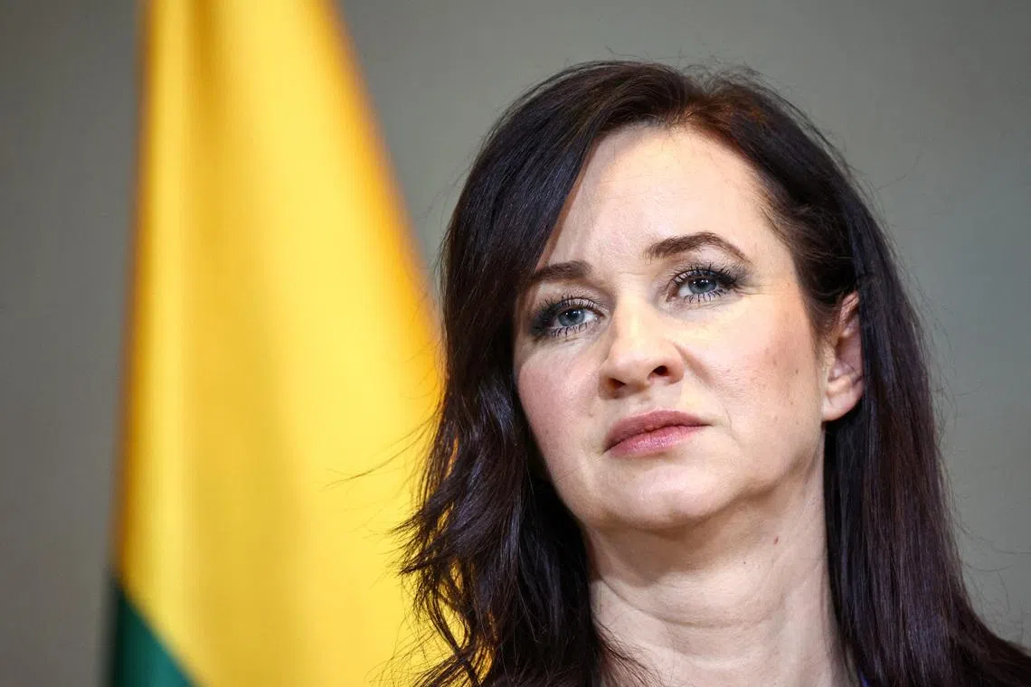 Drone that crashed in Lithuania came from Ukraine, Lithuanian PM says