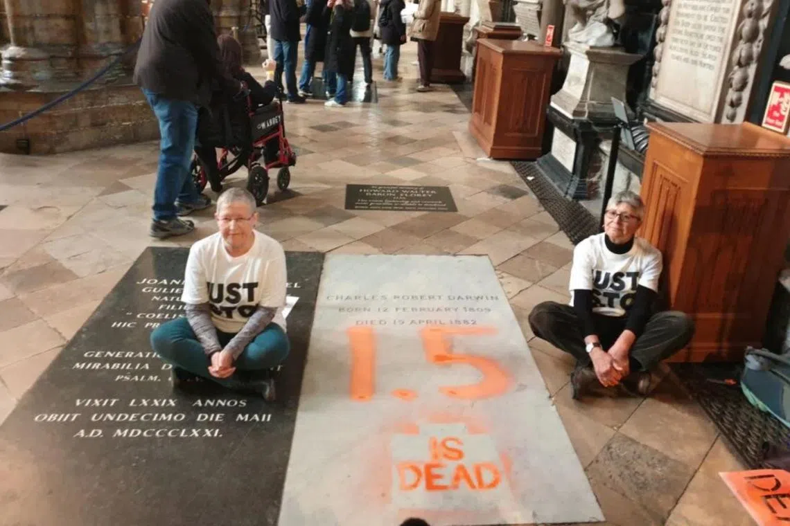 Two activists entered Westminster Abbey on the morning of Jan 13 and used spray chalk on Darwin’s grave.