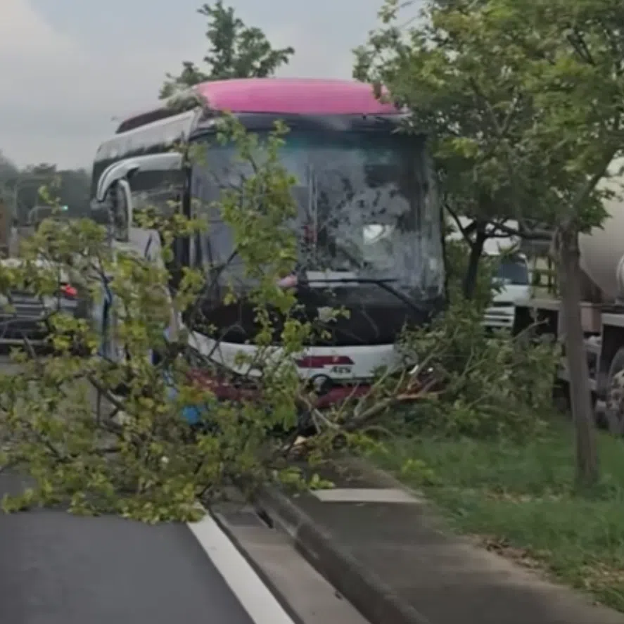 In a video of the accident uploaded to Instagram, a bus bearing transport company A&S Transit’s livery is seen crashed into a fallen tree on the central divider.