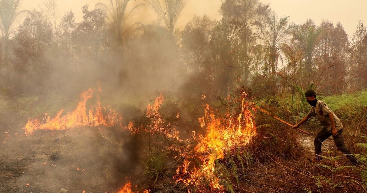No report of Malaysian companies involved in the Indonesia’s fires 