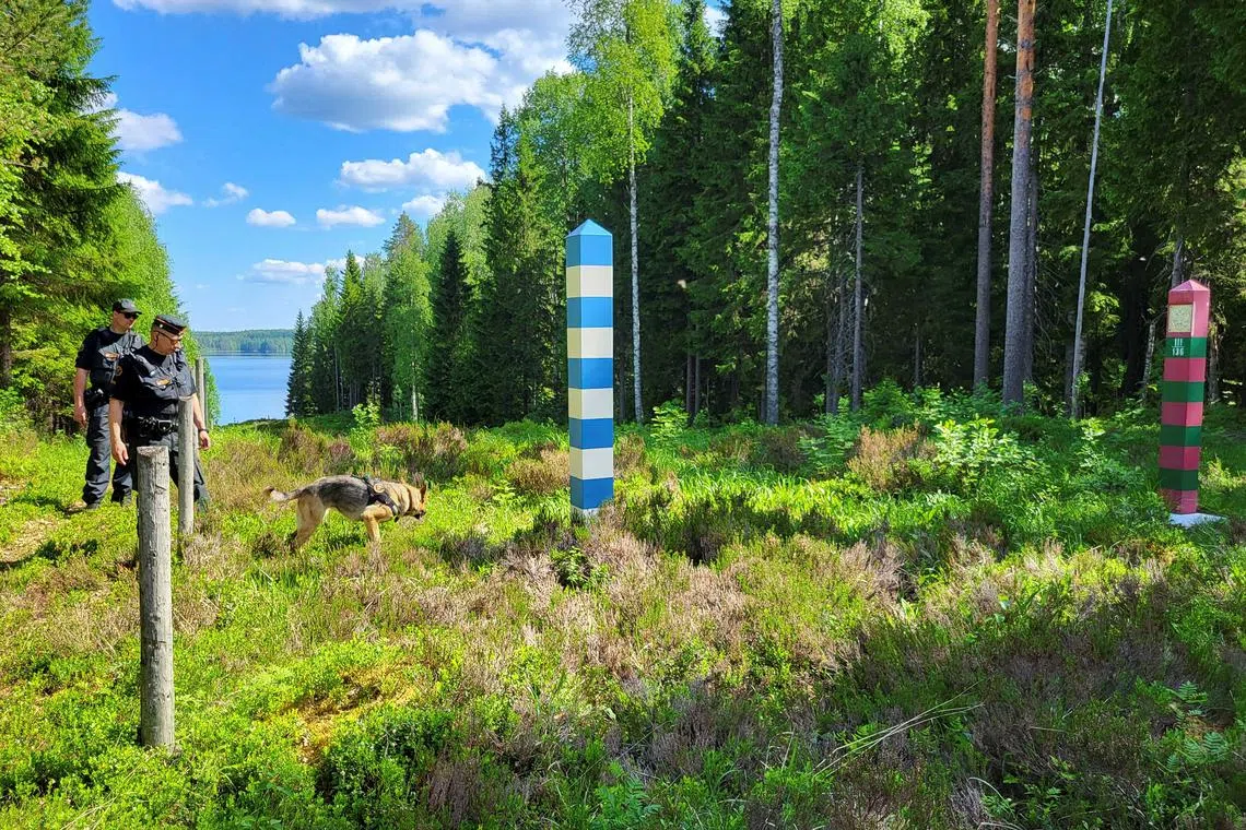 FILE PHOTO: Finnish border guards and their dog Nita patrol the Finnish-Russian border which is marked by a narrow clearing in the forest near Hoilola village, in Eastern Finland, June 5, 2024. REUTERS/Anne Kauranen/File Photo