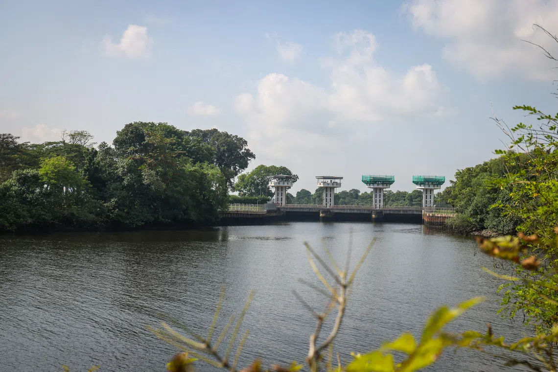 Turning the existing Kranji Tidal Gatehouse into the “Marina Bay Sands of Sungei Buloh” was also among the suggestions.