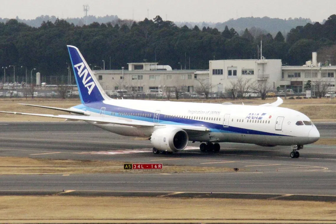 The expansion of Narita Airport, one of the two major international gateways to Tokyo, will almost double its size.