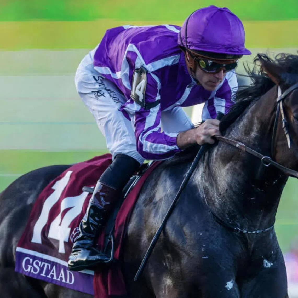 Irish contender Gstaad (Christophe Soumillon) scooping up a 21st Breeders' Cup gong for top trainer Aidan O'Brien by landing the Grade 1 Breeders' Cup Juvenile Turf (1,600m) at Del Mar on Oct 31.

