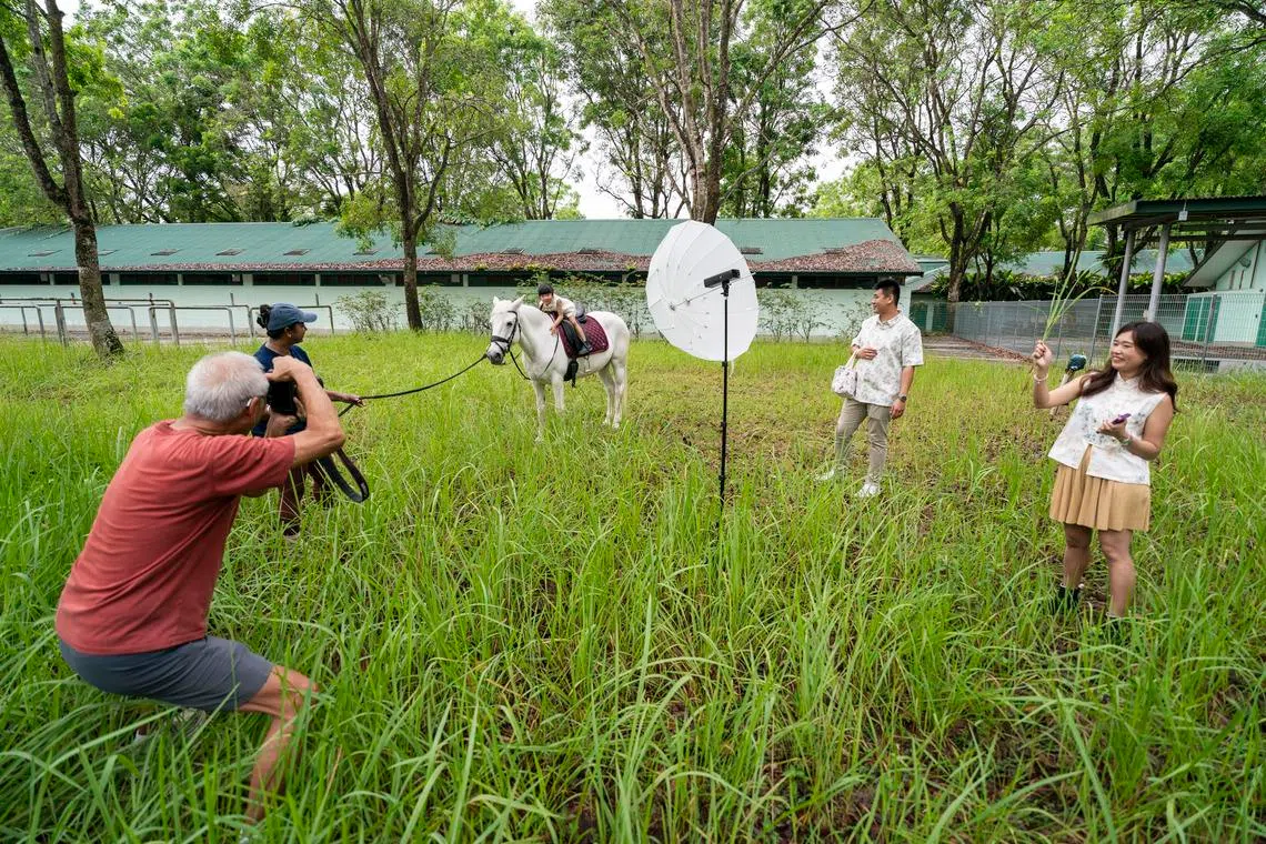 Bukit Timah Saddle Club offers experiences for all ages – pony rides for children aged three to five, or beginner’s experiences for children six and above.