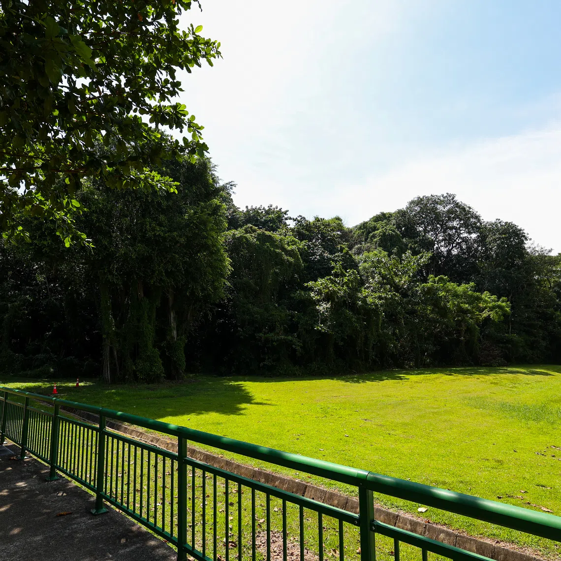 The most popular state tender this year is Bedok Rise, a greenfield site next to Tanah Merah MRT station that can yield 380 condo units.