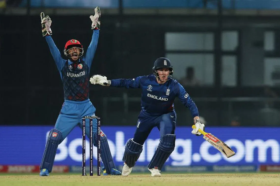 Cricket - ICC Cricket World Cup 2023 - England v Afghanistan - Arun Jaitley Stadium, New Delhi, India - October 15, 2023 Afghanistan's Rahmanullah Gurbaz appeals unsuccessfully for the wicket of England's Harry Brook REUTERS/Anushree Fadnavis