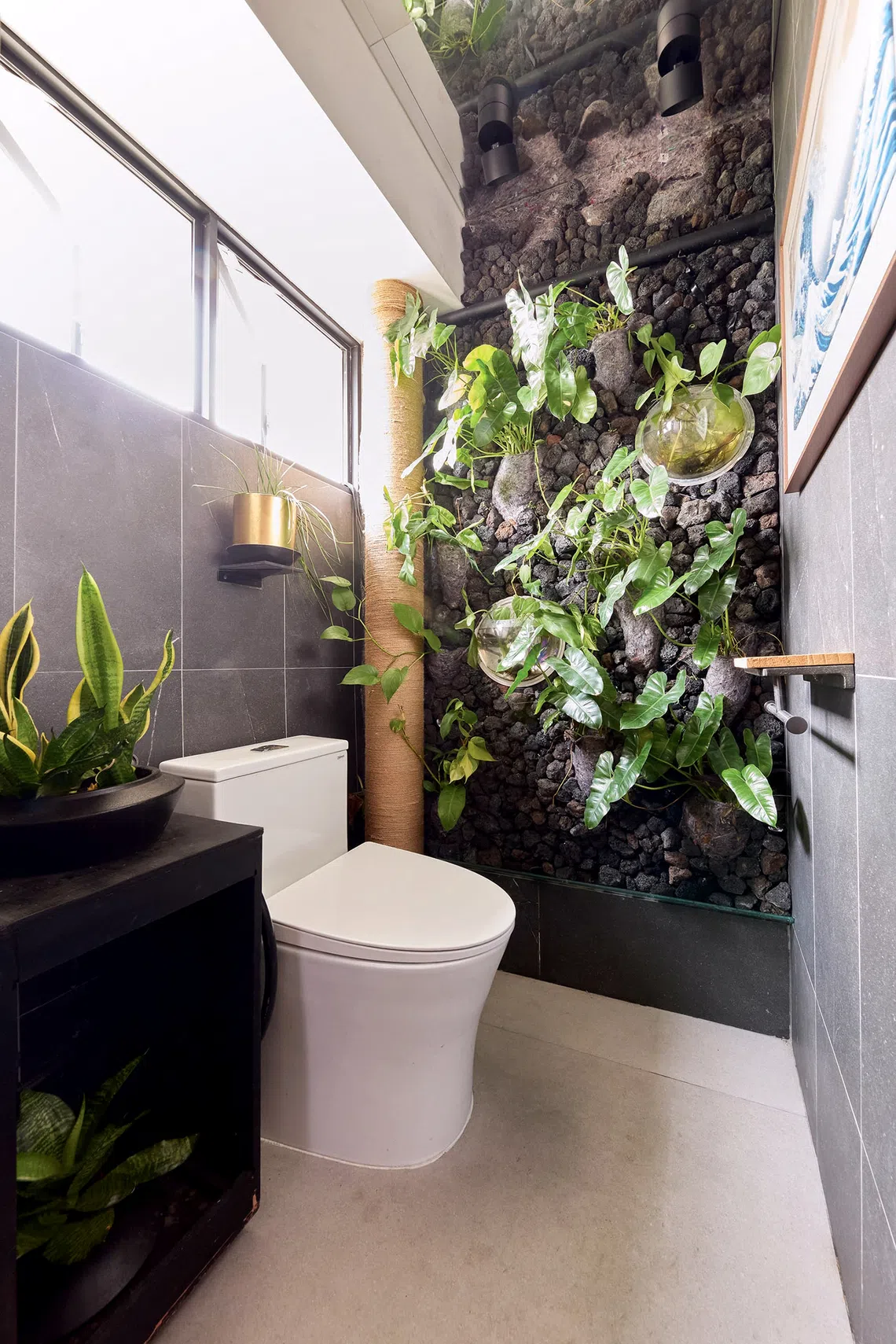 The “hanging garden” in the bathroom is a self-sustaining ecosystem.
