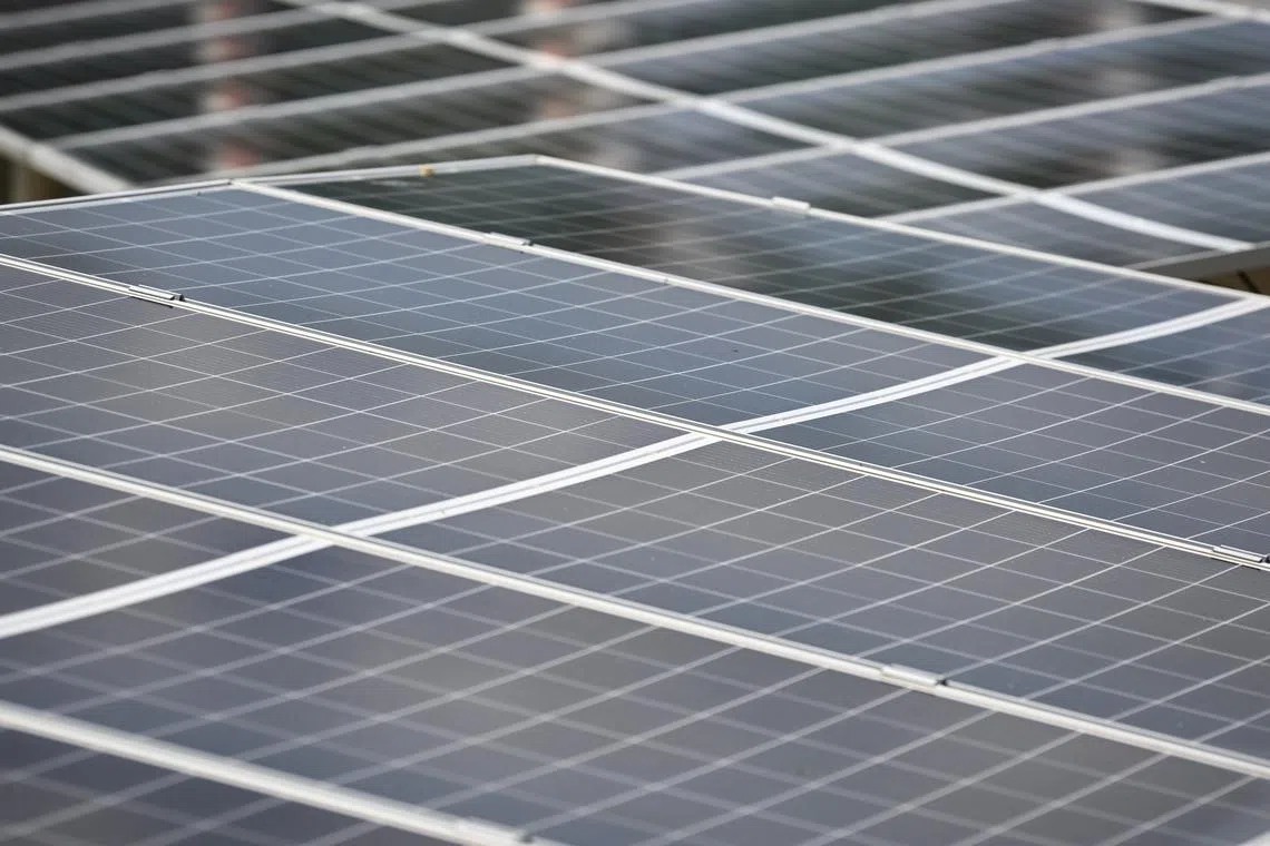 Once operational in 2025-2026, the solar farms will add approximately 221 GWh of renewable electricity a year to the national grid.