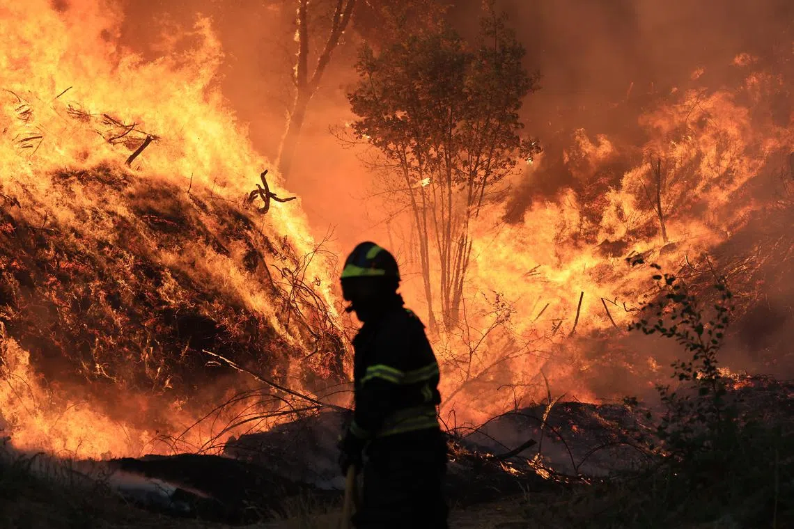 A firefighter fighting a forest fire in Mocao, Santa Eulalia, Arouca, Portugal, on July 29, 2025.