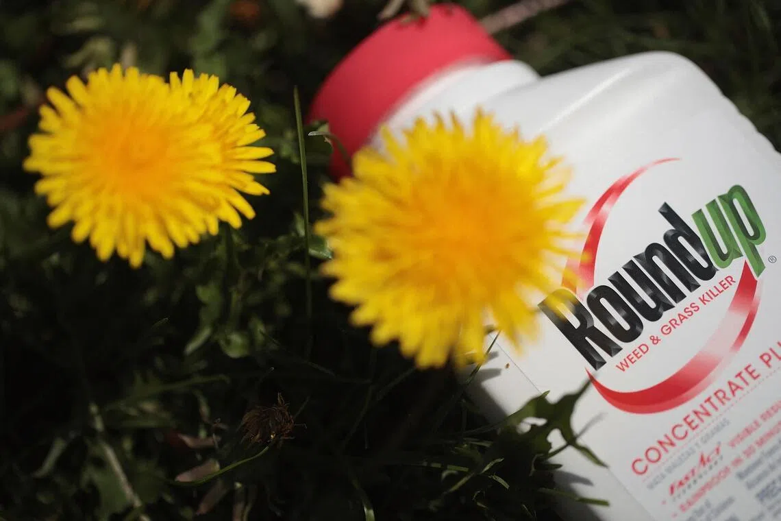 Bayer acquired Roundup as part of its US$63 billion purchase of agrochemical company Monsanto in 2018.