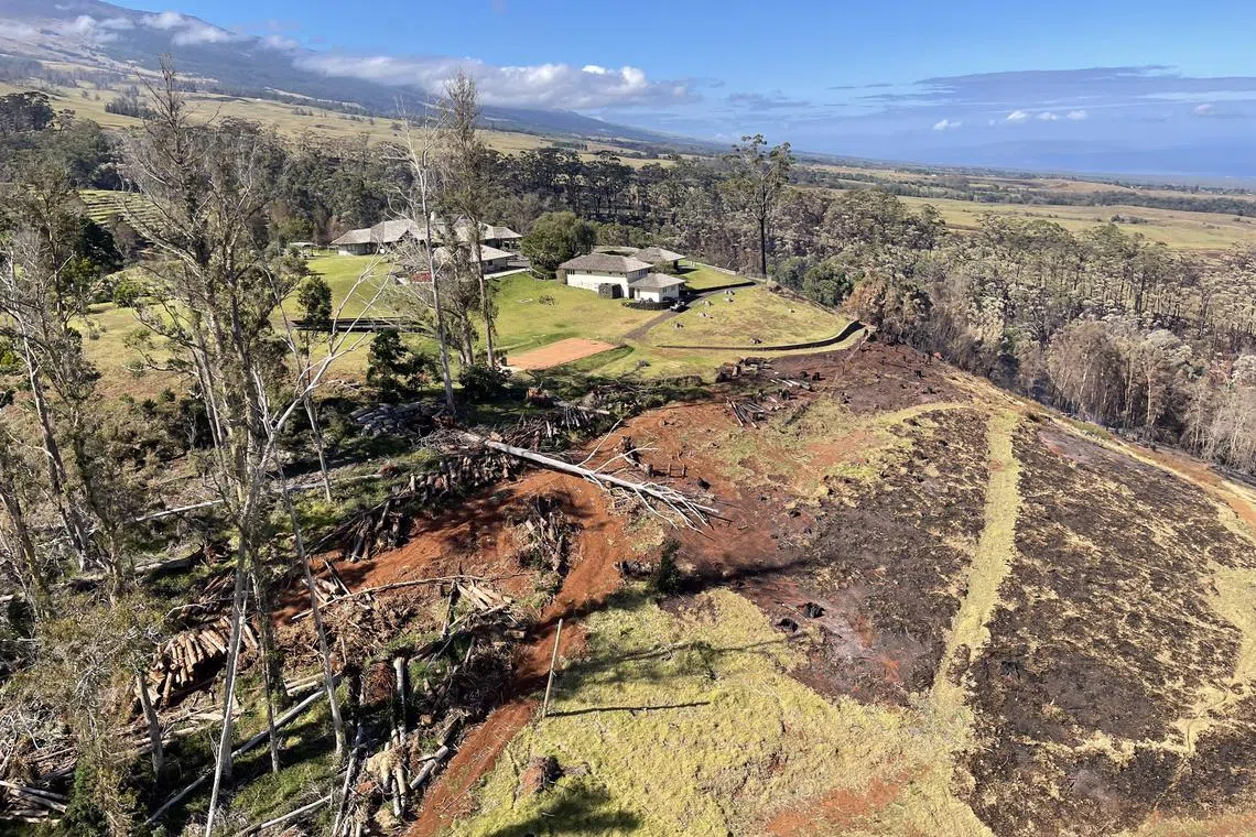 View of the wildfire aftermath in Olinda in Maui, Hawaii, on Aug 11, 2023.
