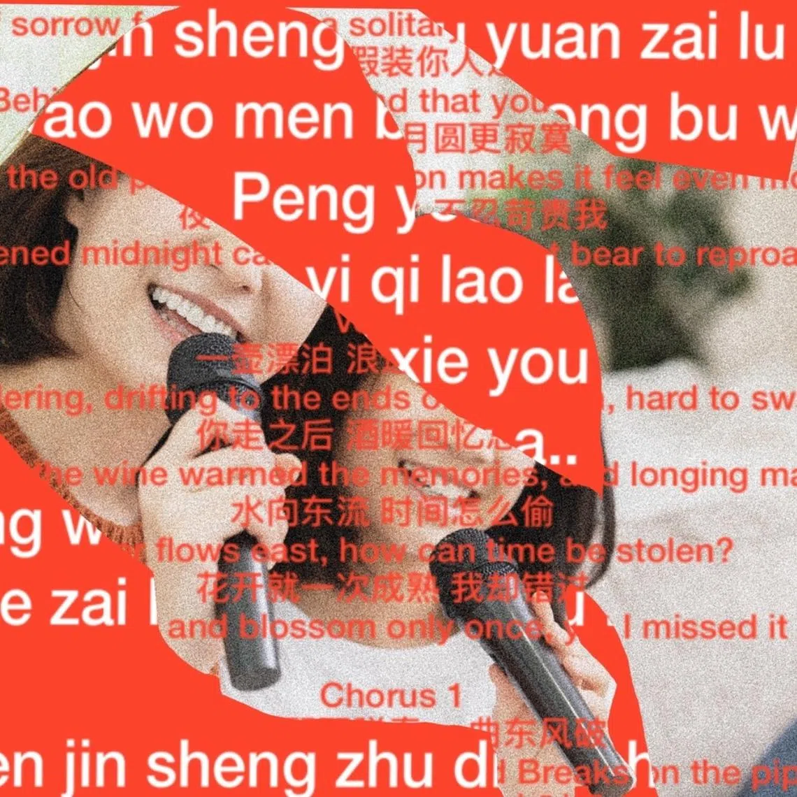 The writer hopes to get her family used to watching Chinese-language shows, reading Chinese books at bedtime and conversing with others in Mandarin... eventually.