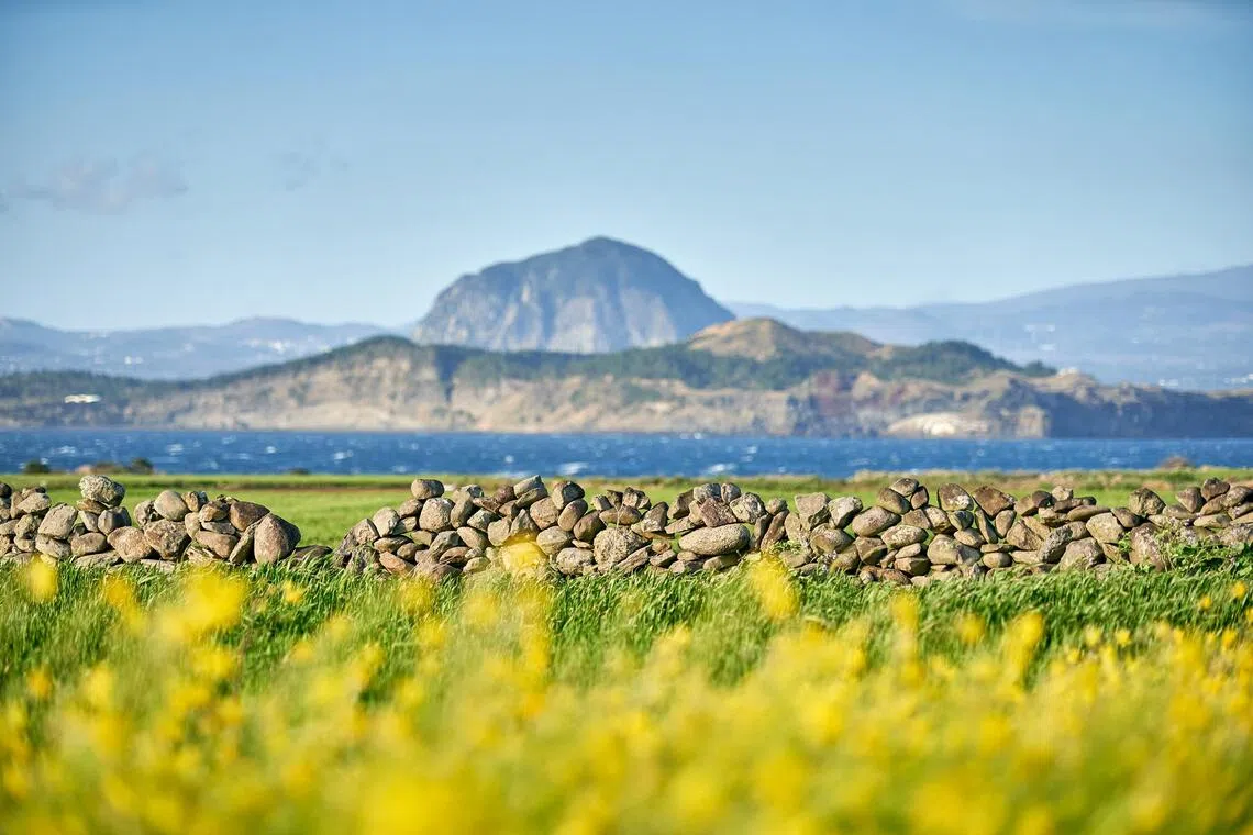 59 people hospitalised after chlorine gas spreads in Jeju hotel