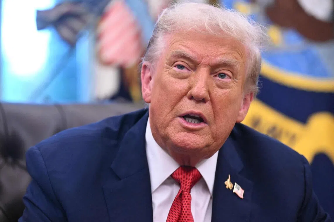 US President Donald Trump's 96-page appeal is an effort to scrub away the stain of his 34 felony convictions.