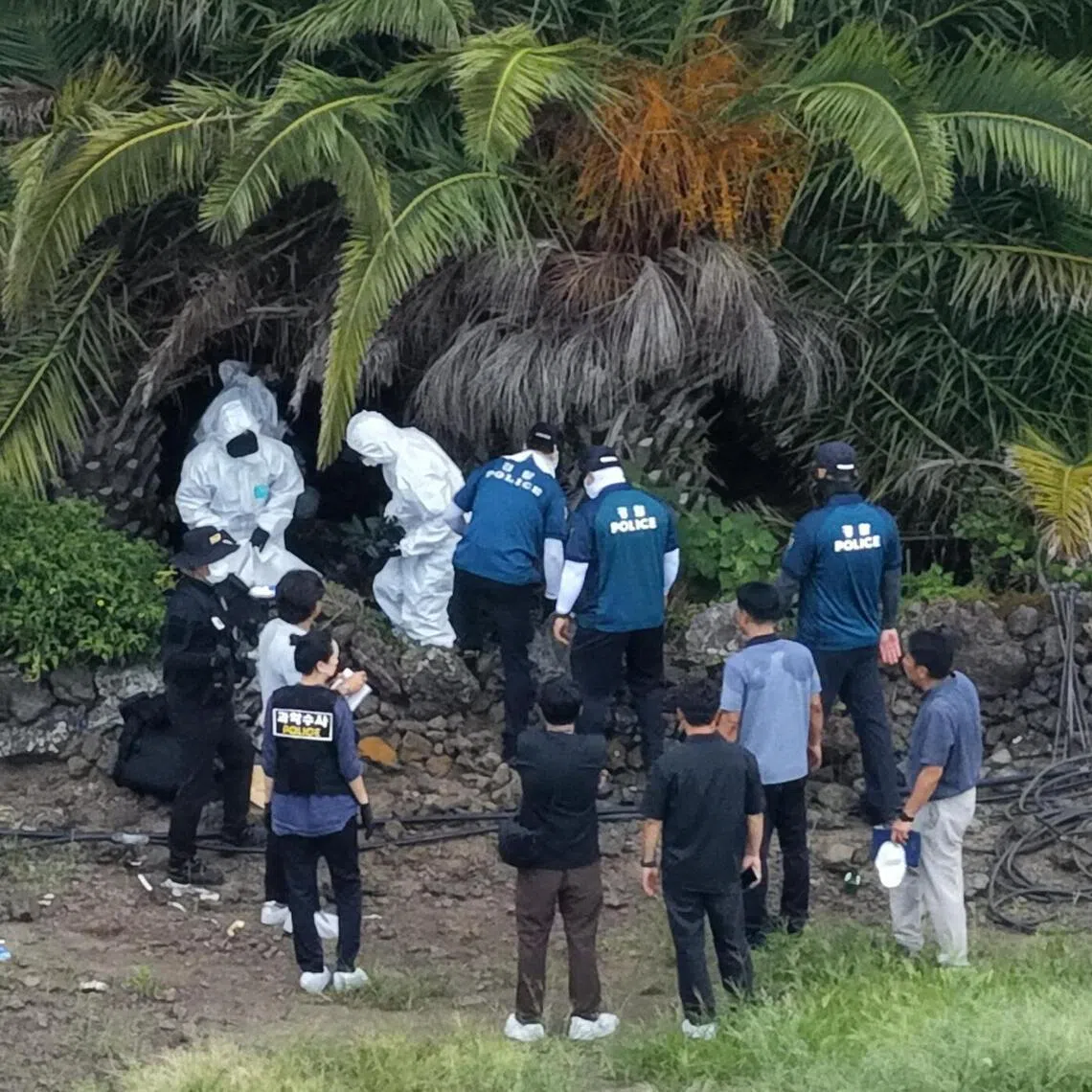 Investigators examine the scene at a palm tree farm in Jeju on Aug 24, where the presumed body of a missing woman, Jang Mi-ran, was found.