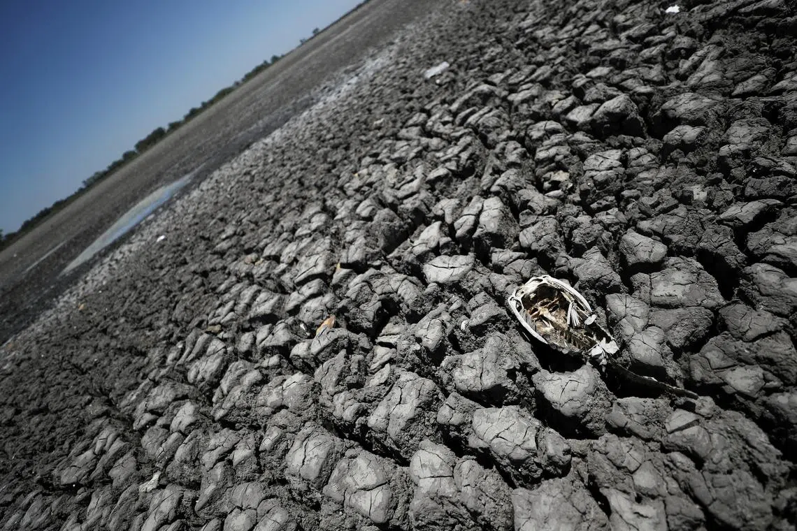 Failure to mitigate and adapt to climate change; natural disasters; biodiversity loss; natural resource loss and large-scale environmental damage dominate the top-10 ranking of global risks deemed most severe over a 10-year period.