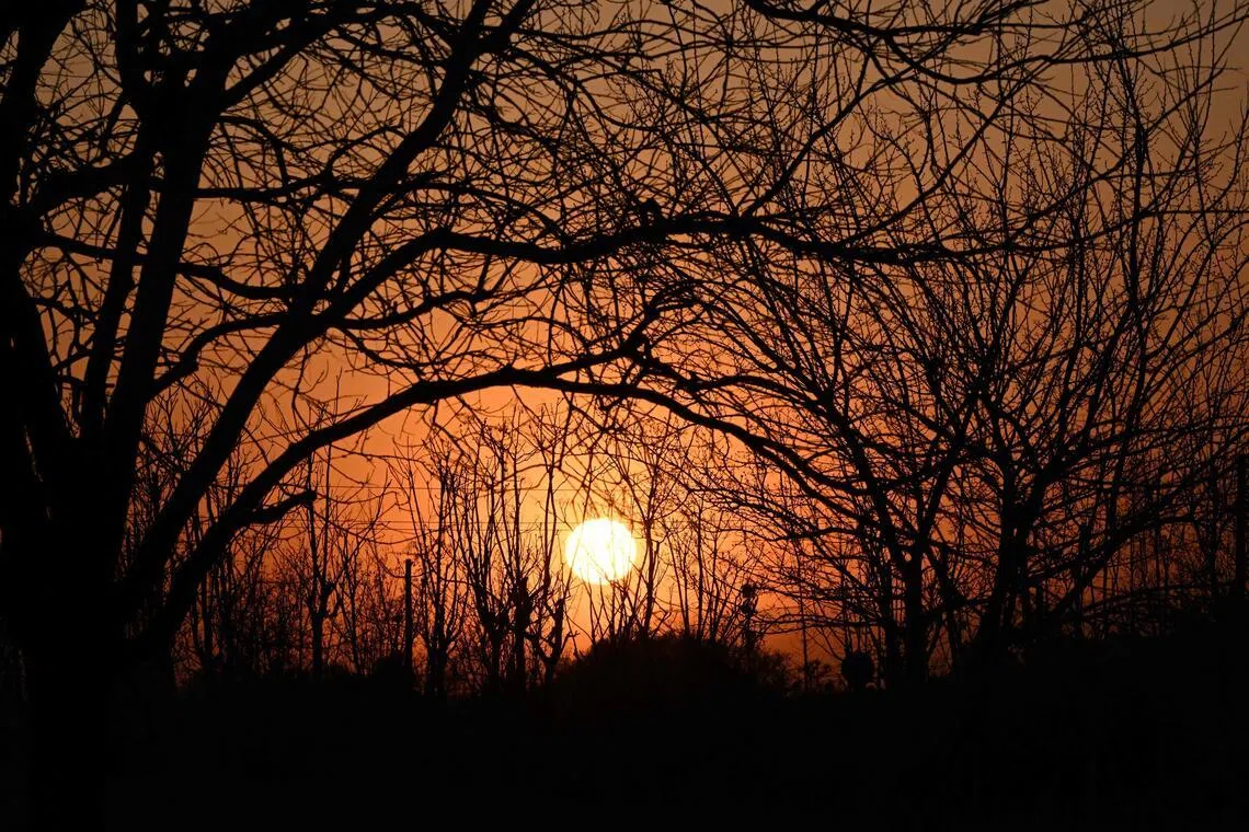 China forecasts moderate-or-stronger El Nino, warns of tighter energy, fuel squeeze